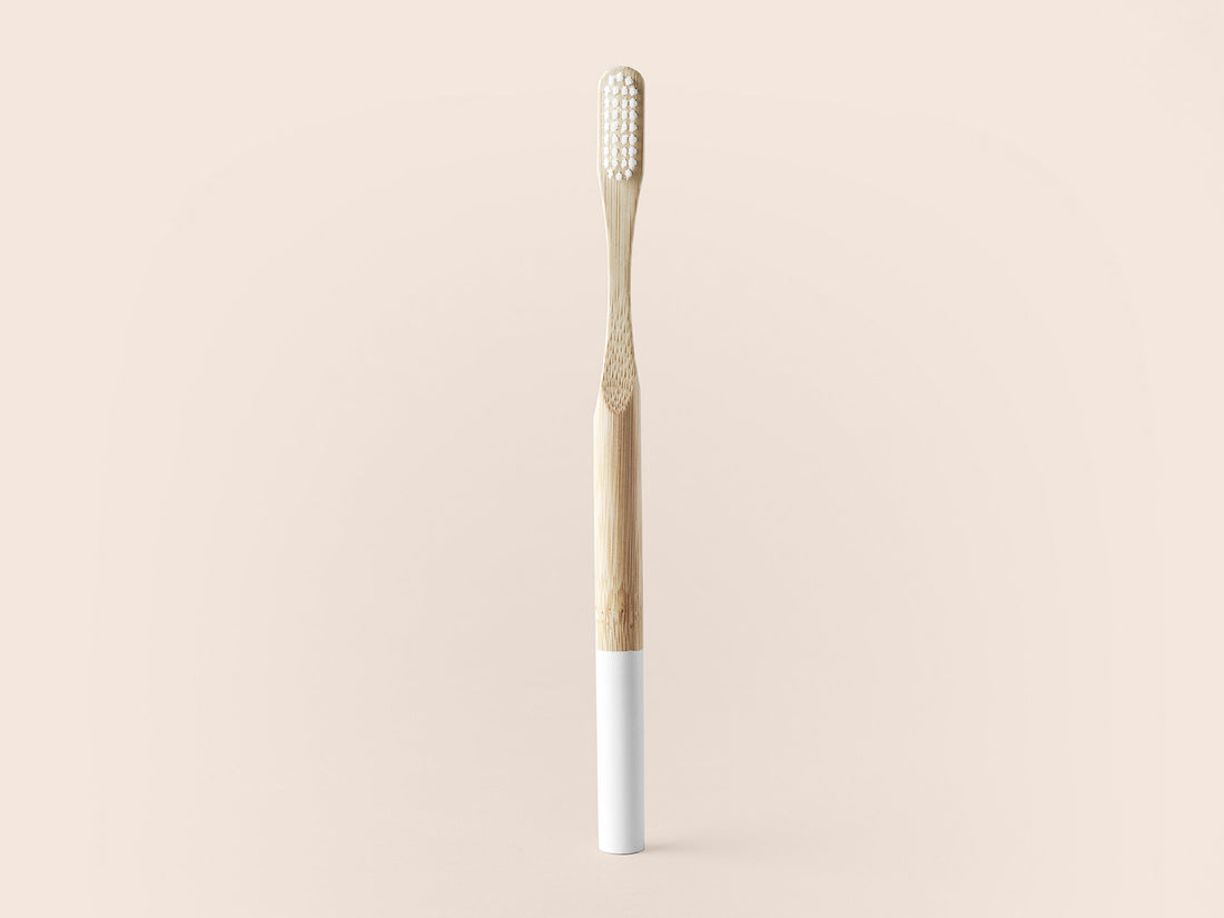 Bamboo Toothbrush Senior